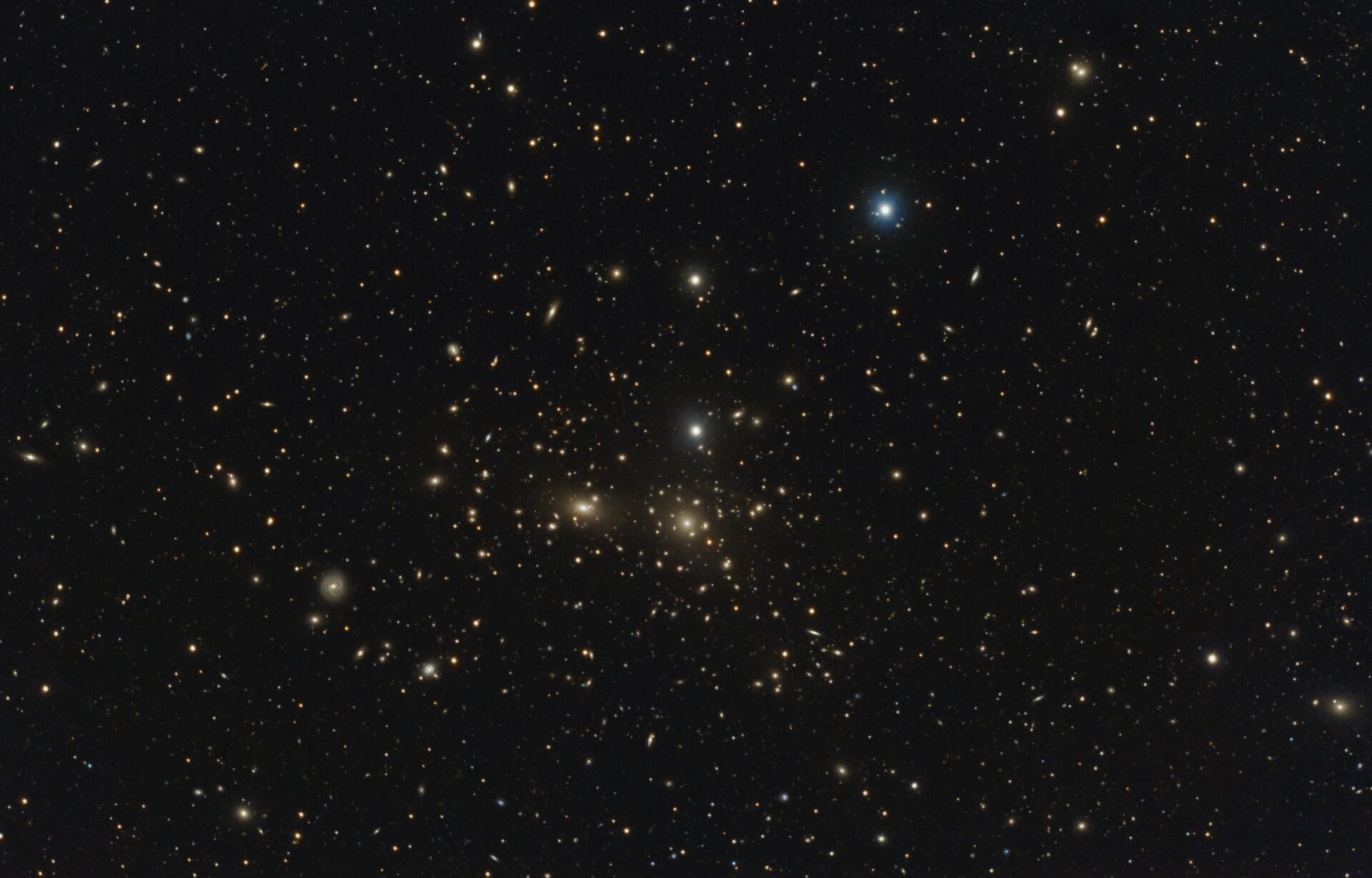 ABELL 1656