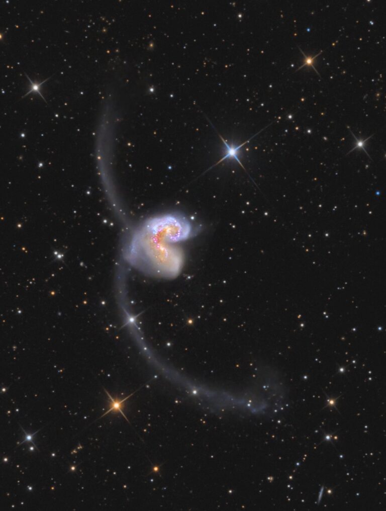 ARP 244