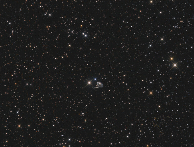ARP 273