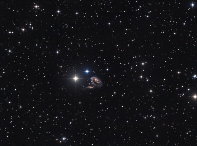 ARP 273