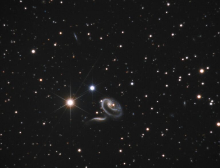 ARP 273