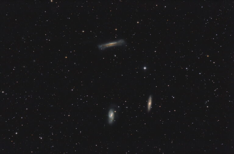 ARP 317