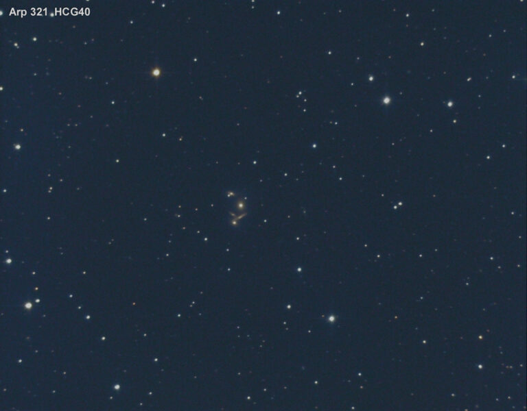 ARP 321