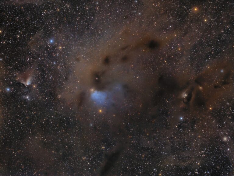 BARNARD 7
