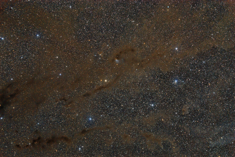 BARNARD 7