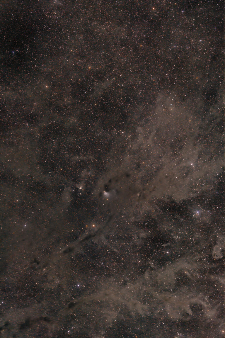 BARNARD 7