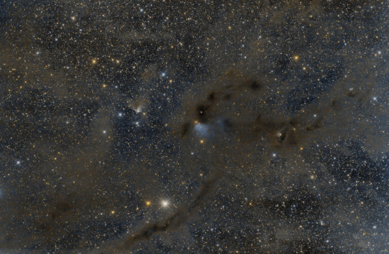 BARNARD 7