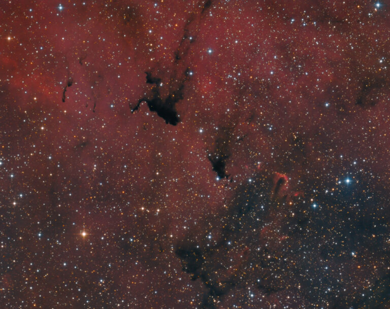BARNARD 163