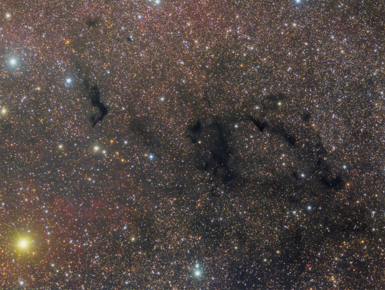 BARNARD 169