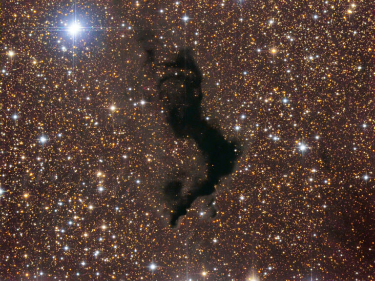 BARNARD 174