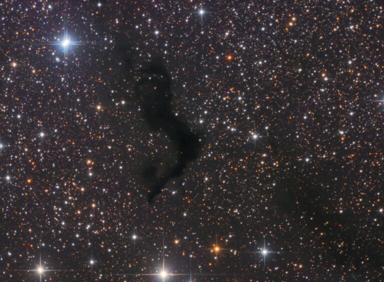 BARNARD 174