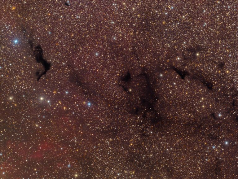 BARNARD 174
