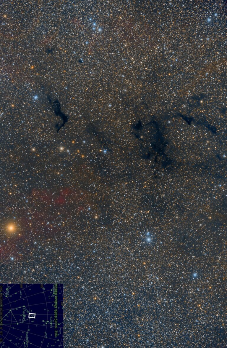 BARNARD 174