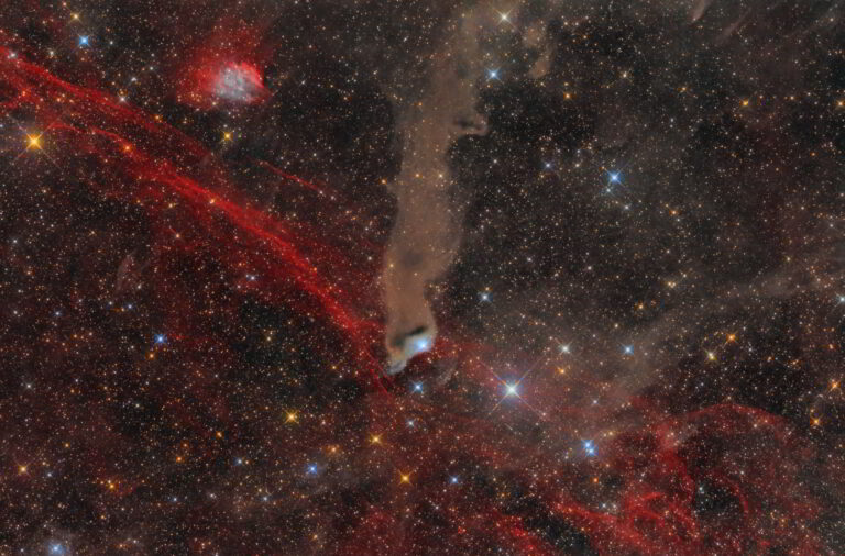 BARNARD 175