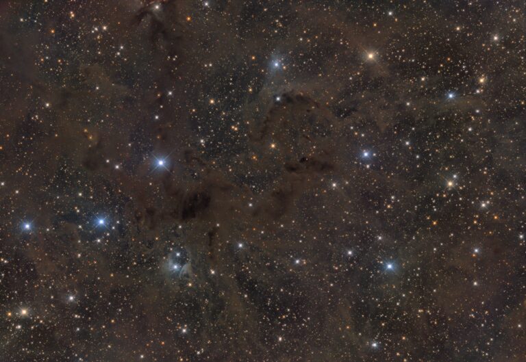 BARNARD 204
