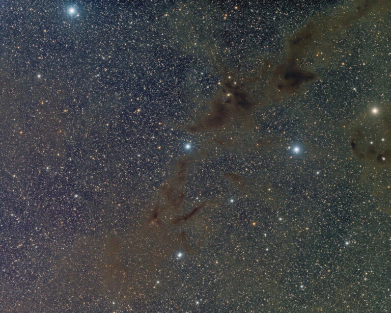 BARNARD 228