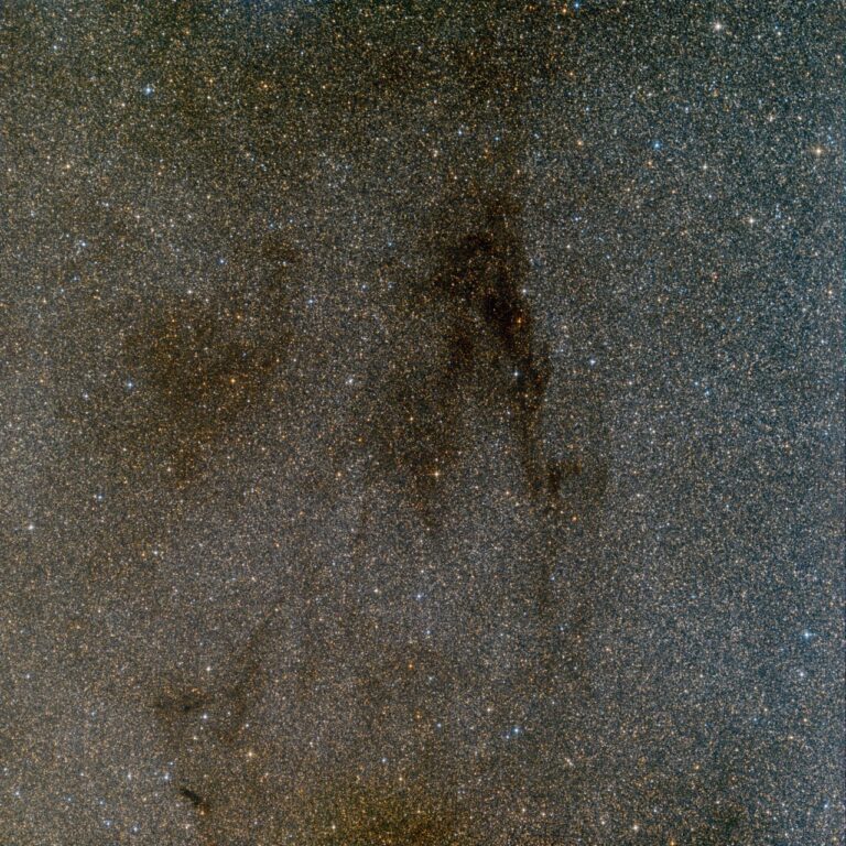BARNARD 244