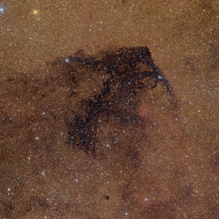 BARNARD 312