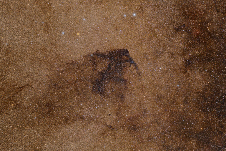 BARNARD 312