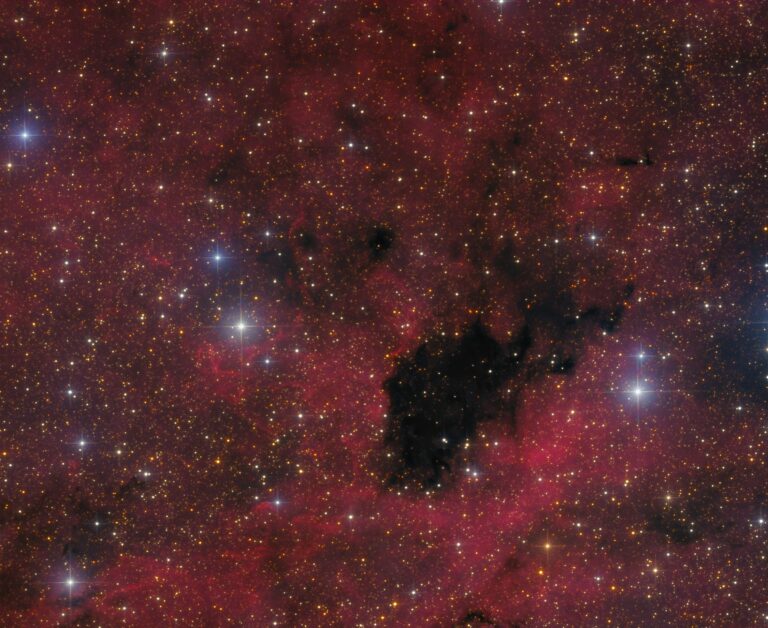 BARNARD 343