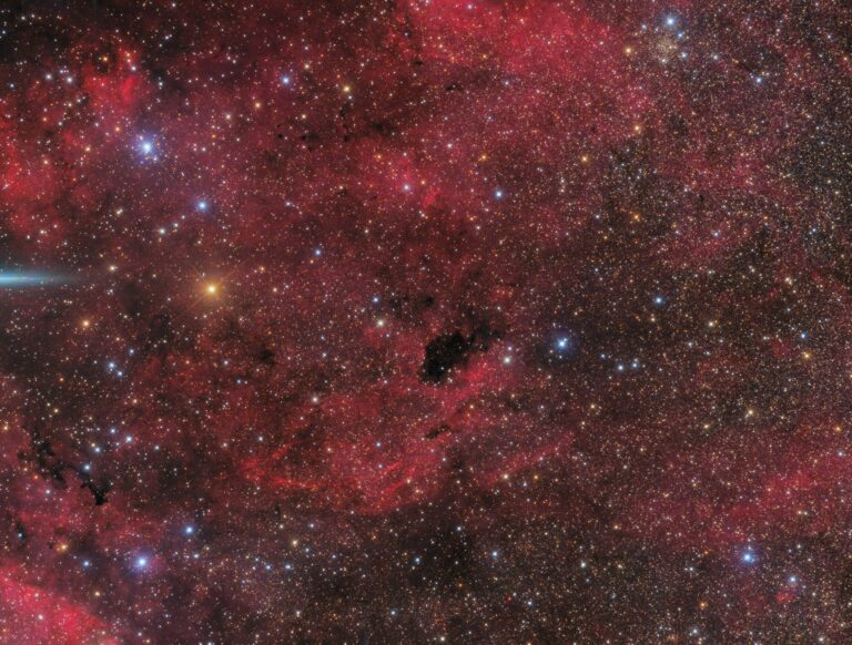 BARNARD 343