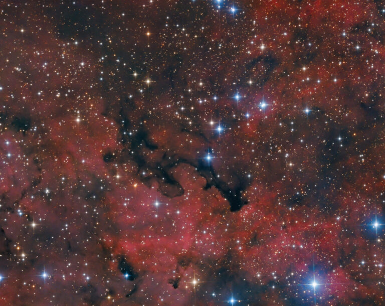 BARNARD 344