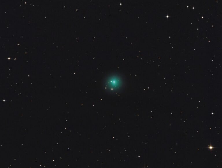 COMET 41P