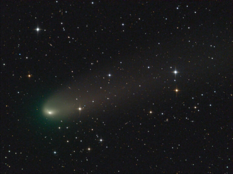 COMET 81P
