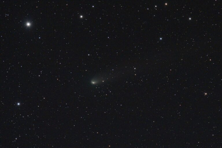 COMET 81P