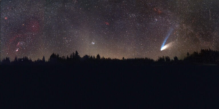 COMET C/1995 O1