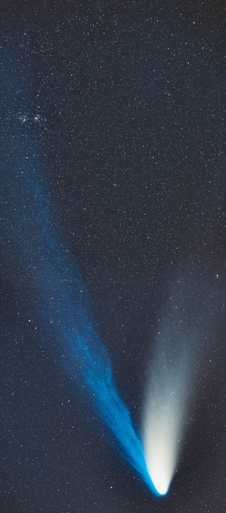 COMET C/1995 O1