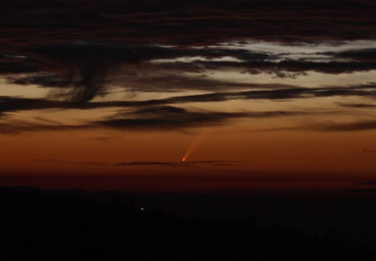 COMET C/2006 P1