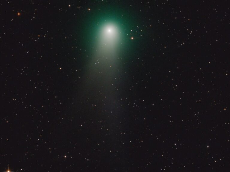 COMET C/2009 P1
