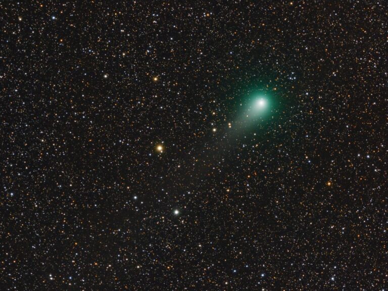 COMET C/2009 P1