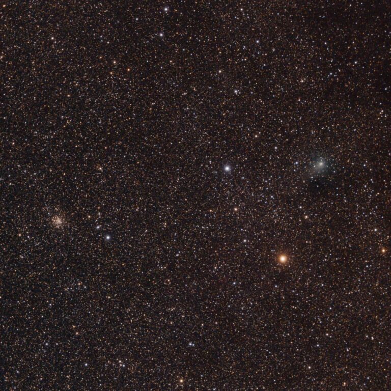 COMET C/2009 P1