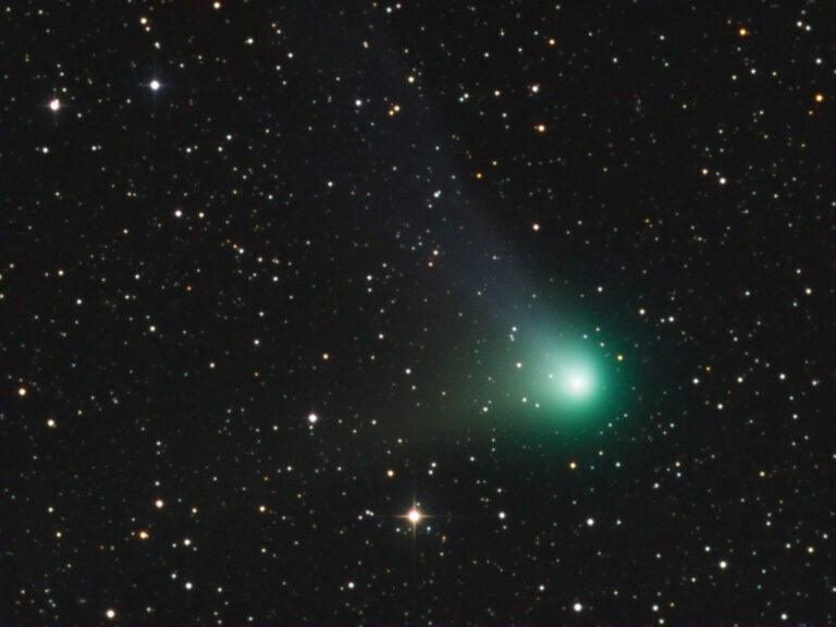 COMET C/2009 P1