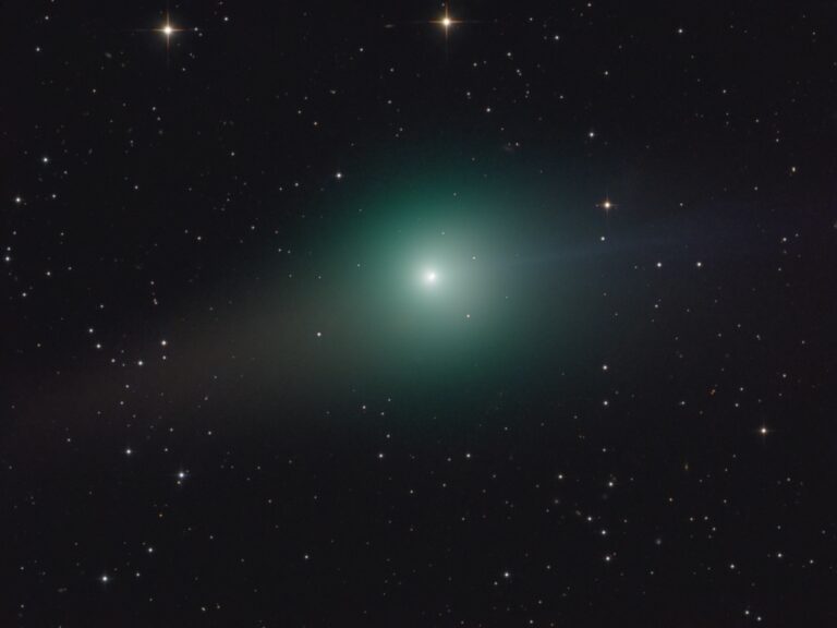 COMET C/2009 P1