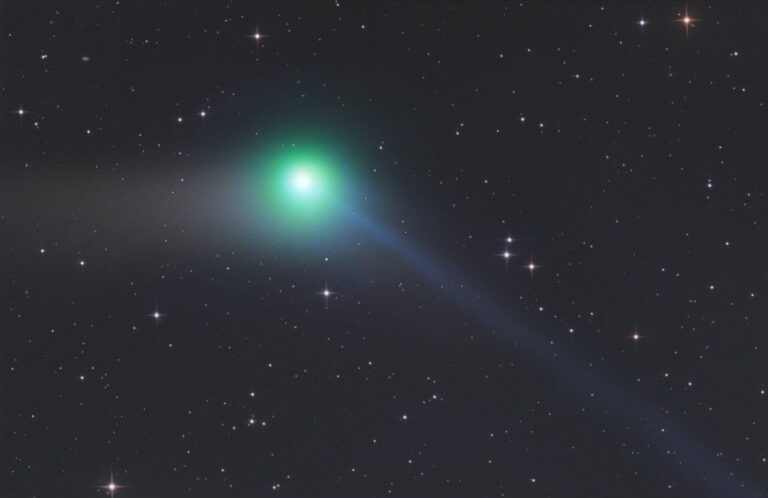 COMET C/2009 P1