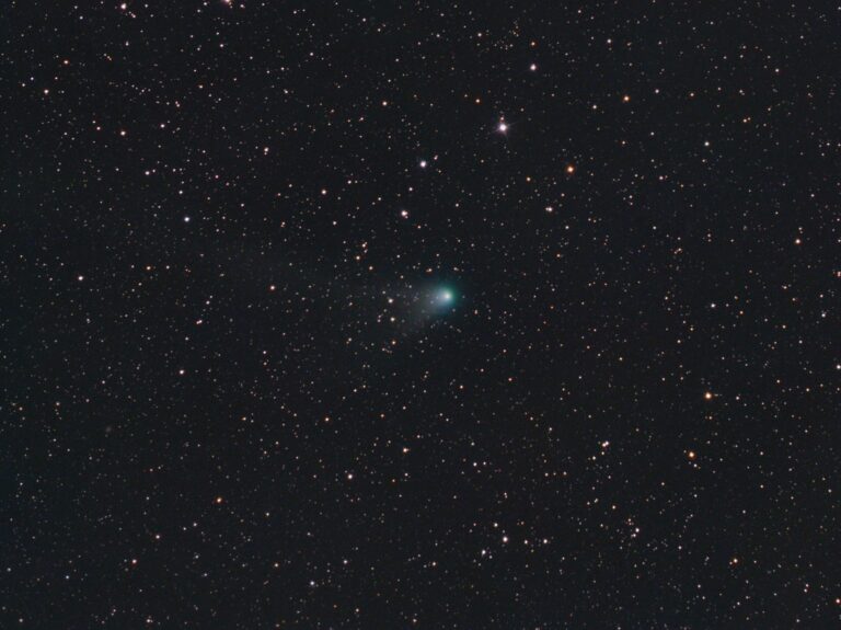 COMET C/2009 P1