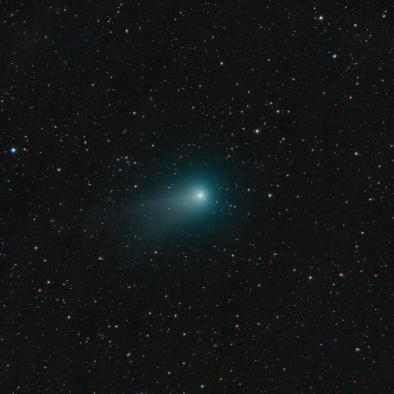 COMET C/2009 P1