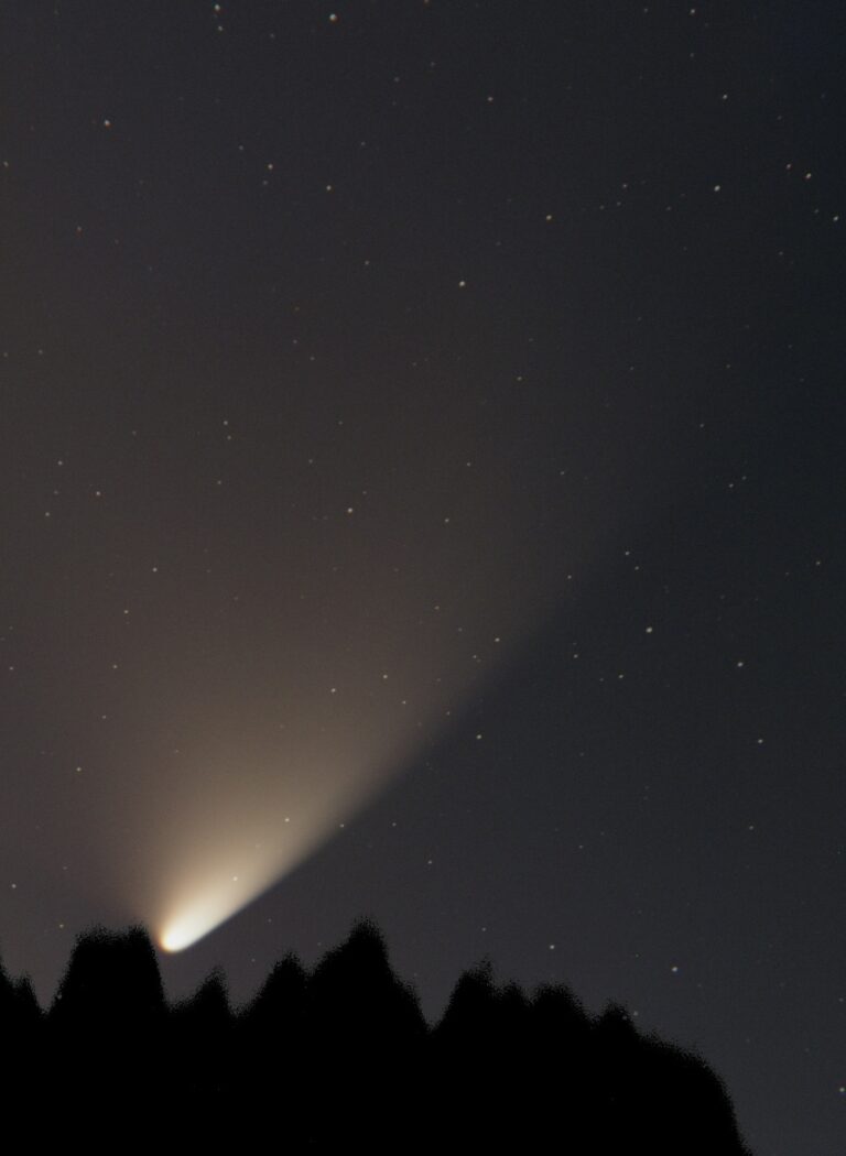 COMET C/2011 L4