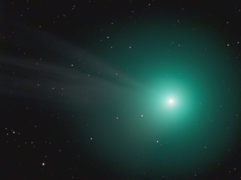 COMET C/2014 Q2