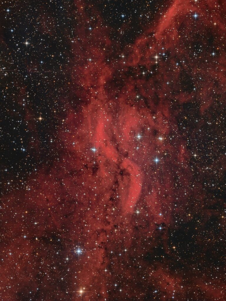 DWB 111