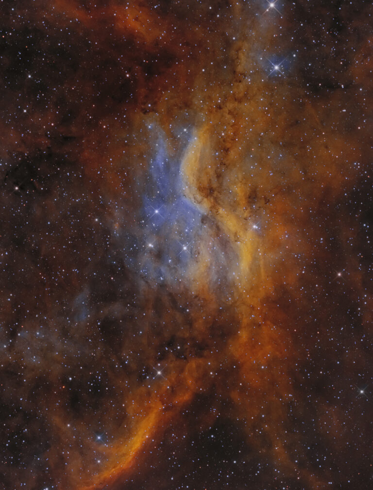 DWB 111