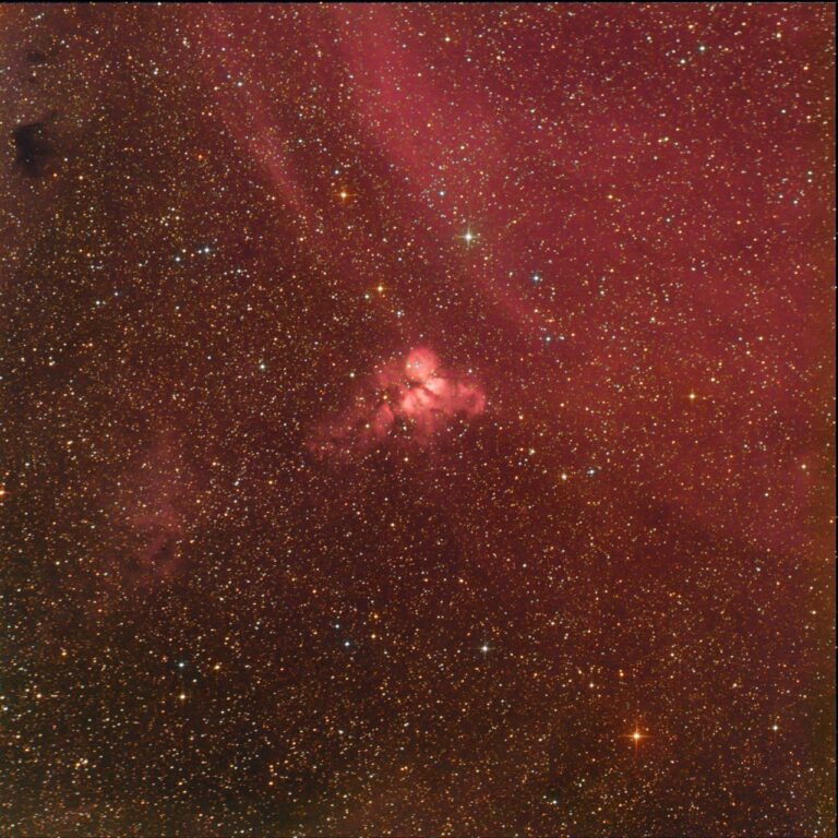 GUM 26