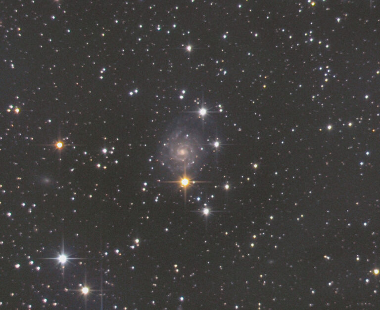 IC 239