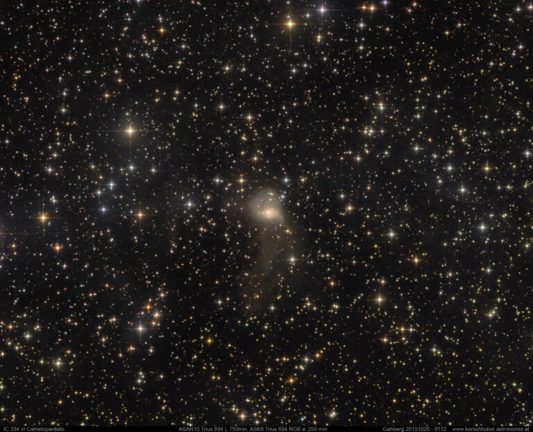 IC 334