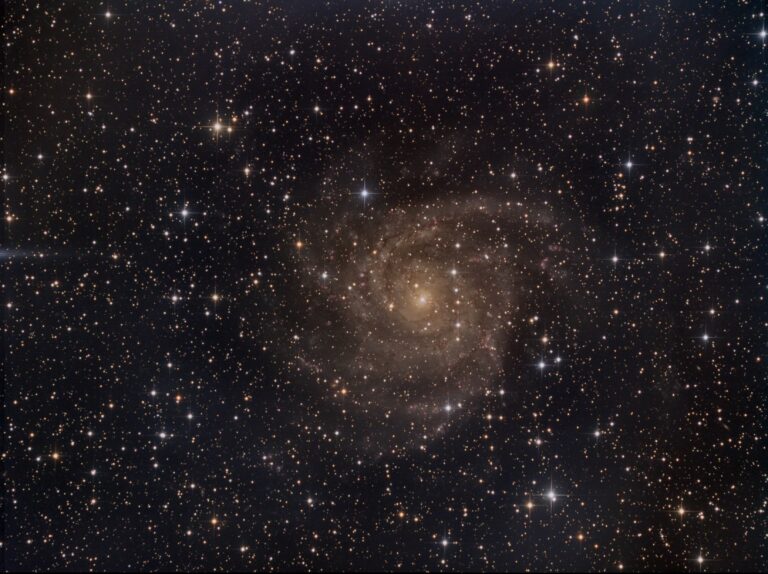 IC 342