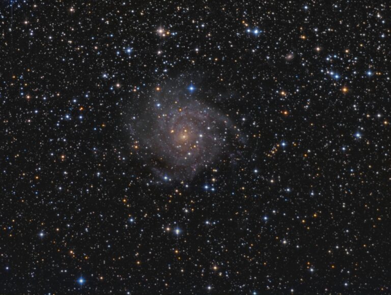 IC 342