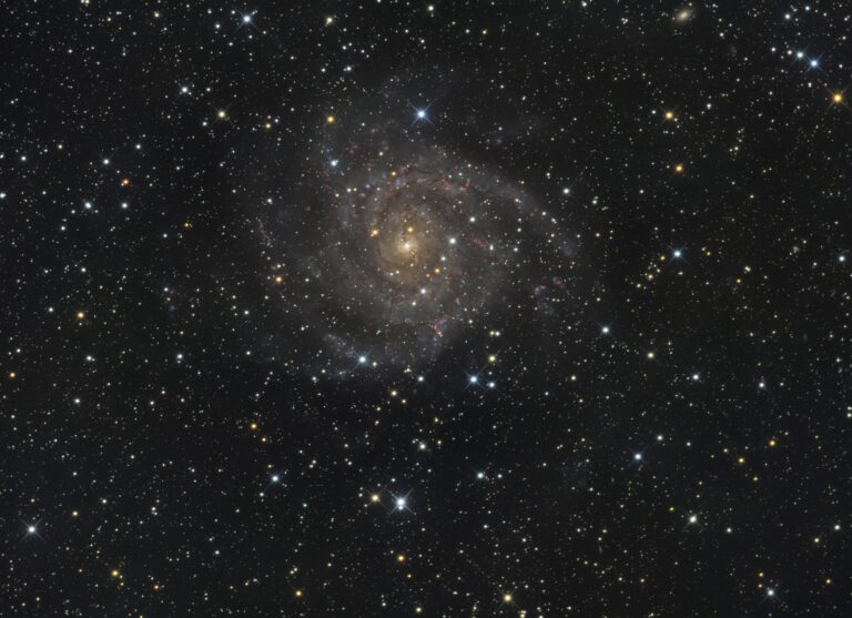 IC 342